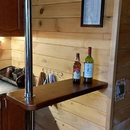 Holiday home Pisnya Karpat *