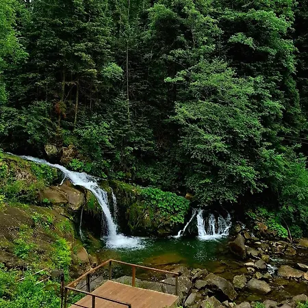 Pisnya Karpat Сasa de vacaciones *