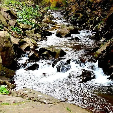 Pisnya Karpat Сasa de vacaciones *