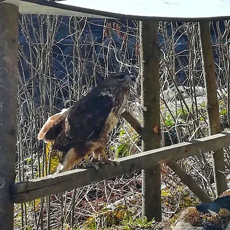 Pisnya Karpat Tatil Evi *