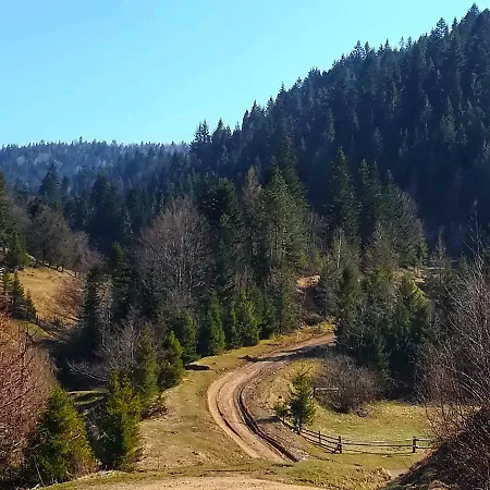 Pisnya Karpat Сasa de vacaciones Skole