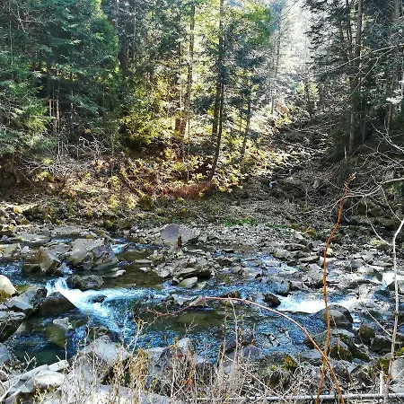 Pisnya Karpat Casa vacanze *