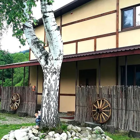 Pisnya Karpat Skole