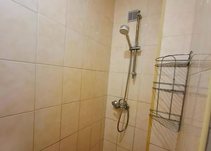 Pisnya Karpat Dom wakacyjny