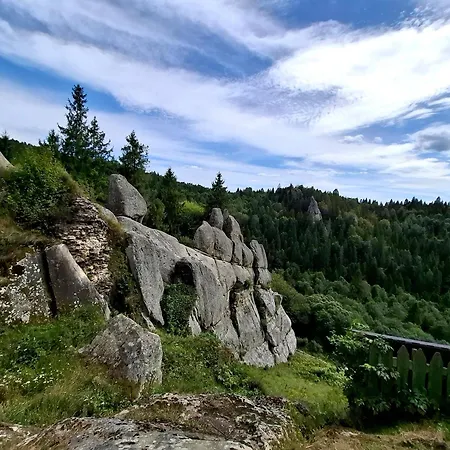 Pisnya Karpat Casa de Férias *